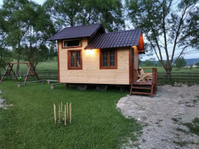 Cazare la Vama Buzăului - Căsuța Festung